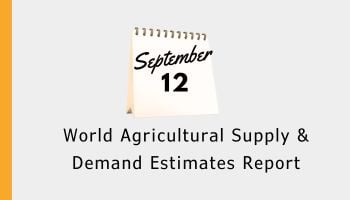 5_Market Report 5_Market Report